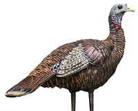 Avian-X AVX8006 8006 LCD Lookout Hen Turkey Decoy, Full Body