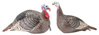 Hunters Specialties 100005 Strut-Lite Jake/Hen Decoy Combo Pack