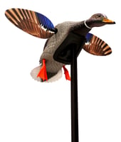 Mojo Outdoors HW24703P Elite Series Mini Mallard Drake Species Multi Color Plastic